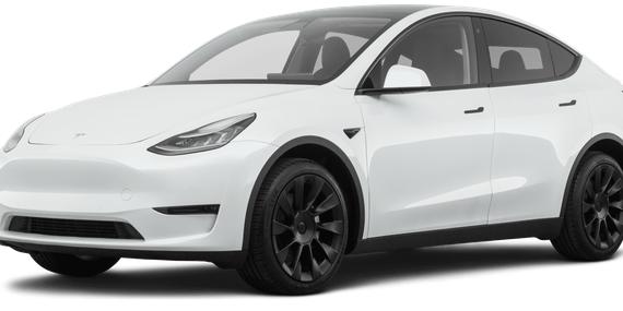 TESLA MODEL Y 2021 5YJYGDEE4MF225099 image